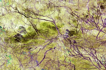 N 083A